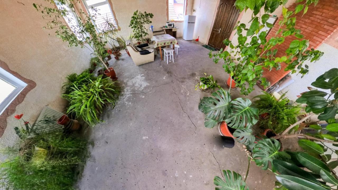 La Vitalie Guest House キシナウ エクステリア 写真