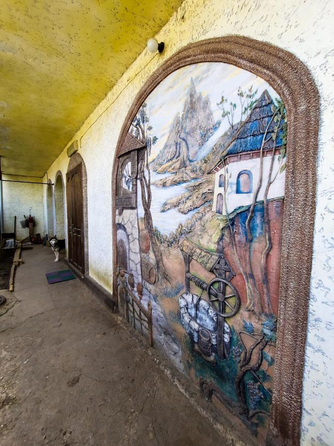 La Vitalie Guest House キシナウ エクステリア 写真
